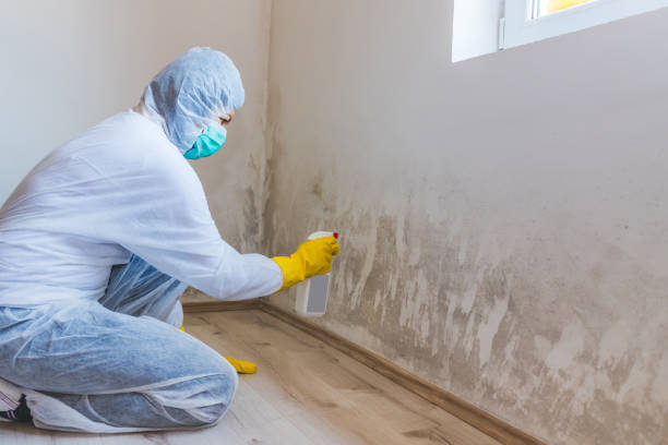 Mold Remediation specialist working in Clearville